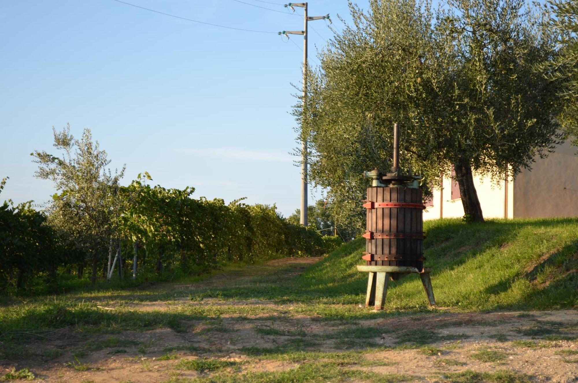 Agriturismo Casale Contessa Montebuono  Exterior photo
