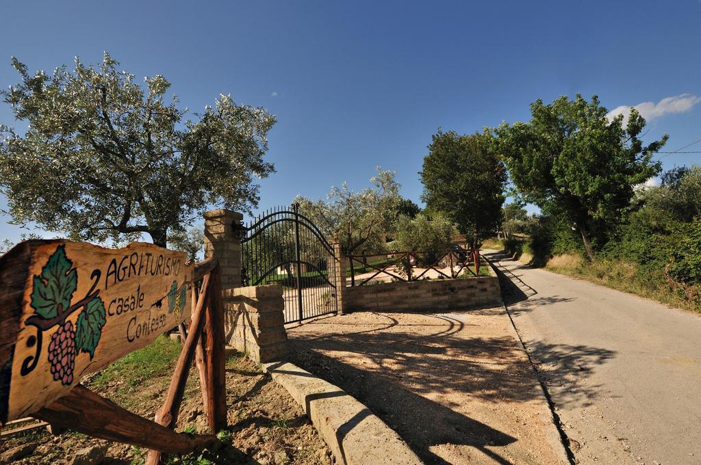 Agriturismo Casale Contessa Montebuono  Exterior photo